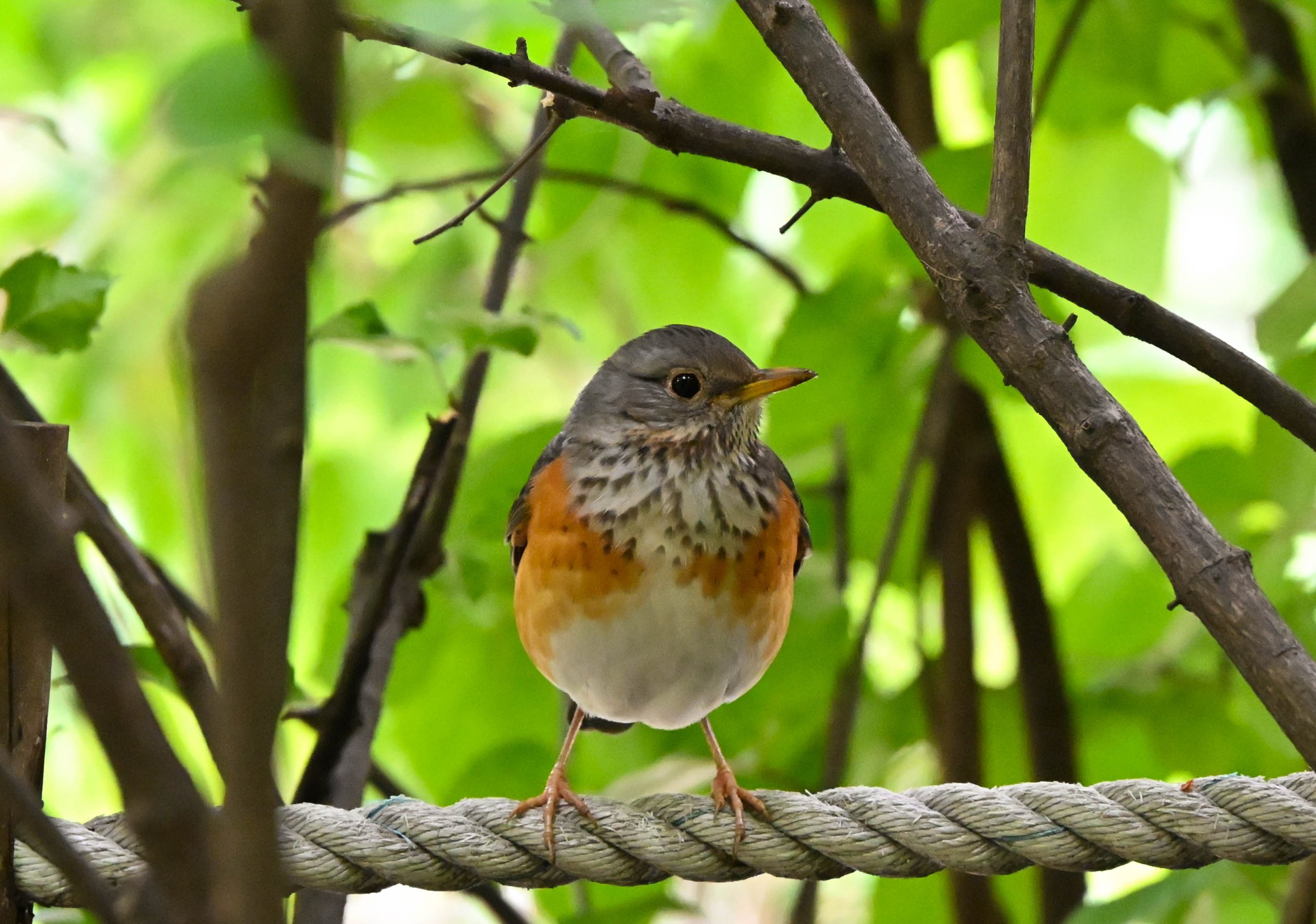 Enjoy My Photography !!!